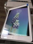 蘋果五代，幾乎全新無磕碰劃痕，買了半年，在保質期，誠心，可貨